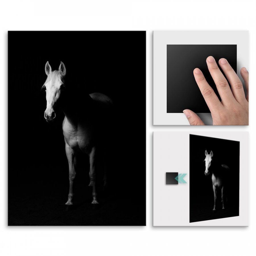 Pix4home Plakat metalowy biały koń w mroku L POS-L-01787