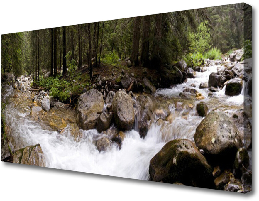 PL Tulup Obraz Canvas Las Rzeka Wodospady 100x50cm