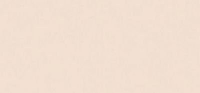 Mettler Mettler 10450  0844 N ° 50 zapasowa szpula żyłki 5 sztuk jedwabiste wykończenie 500 m 10450-0844