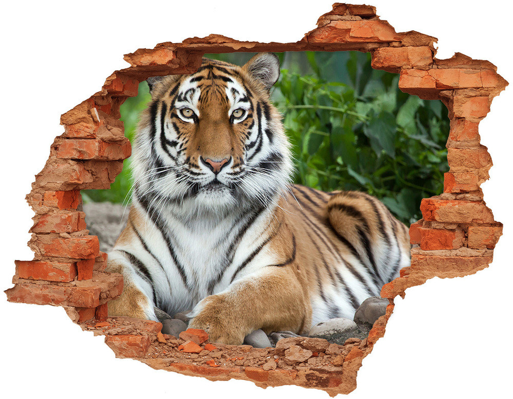 Wallmuralia.pl Dziura 3d fototapeta naklejka Tygrys syberyjski