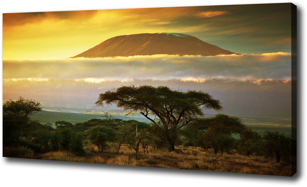Foto obraz na płótnie Kilimandżaro Kenia