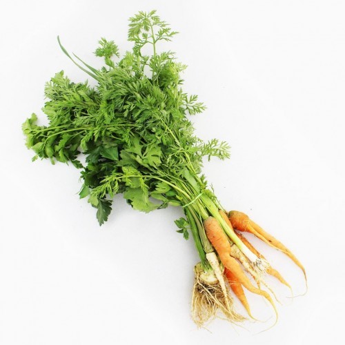 ŚWIEŻE (owoce, warzywa, grzyby) - tacki i sztuki Włoszczyzna świeża pęczek bio (polska) (około 0,60 kg) BP-5907738157059