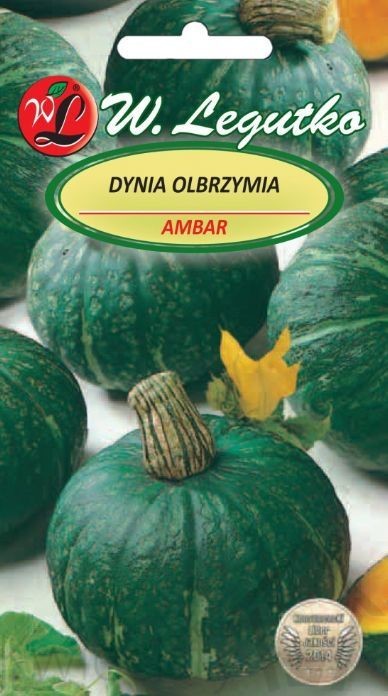Legutko sp. z o.o Nasiona Dynia olbrzymia Ambar, zielona, 3g