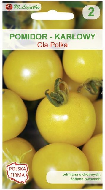 Legutko Pomidor karłowy OLA POLKA
