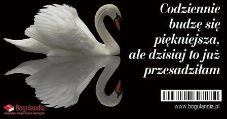 Bogulandia Magnes na lodówkę Codziennie budzę się piękniejsza