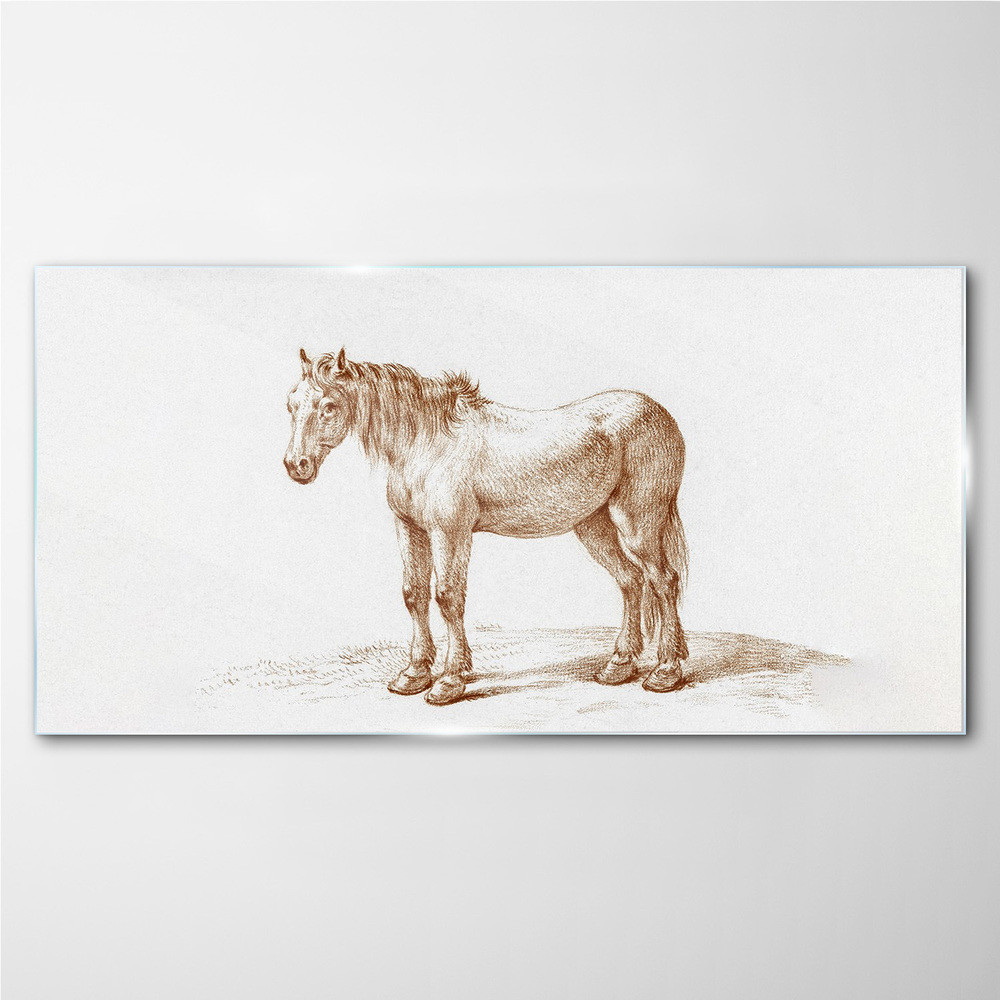 PL Coloray Obraz Szklany Rysunek Zwierzę Koń 100x50cm