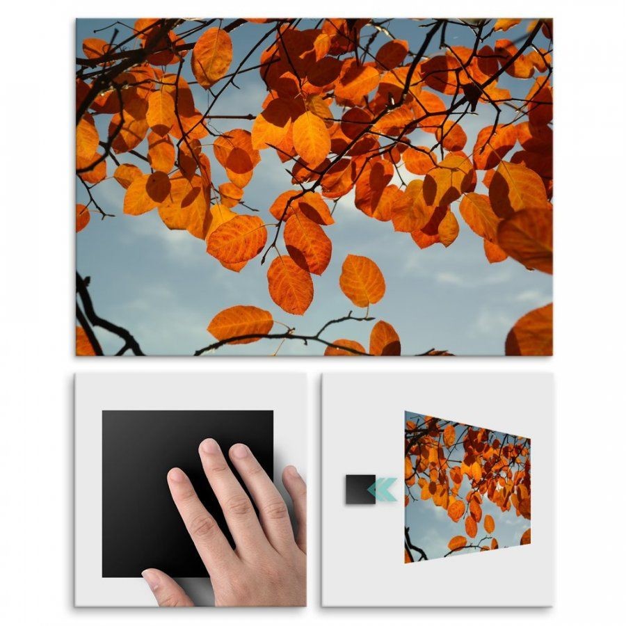 Pix4home Plakat metalowy słoneczny dzień jesieni L POS-L-01432