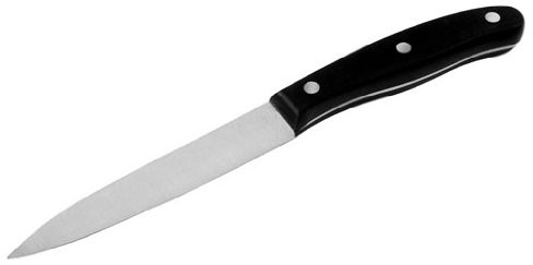 Fackelmann 43801 Nóż do filetowania Fit z genietetem uchwyt z tworzywa sztucznego, 31 cm 43801