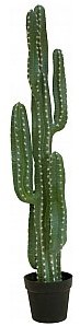 Europalms EUROPALMS Kaktus meksykański, sztuczna roślina, zielony, 123 cm 82801072