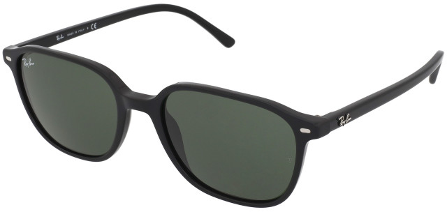 Ray-Ban Ray-Ban Leonard RB2193 901/31