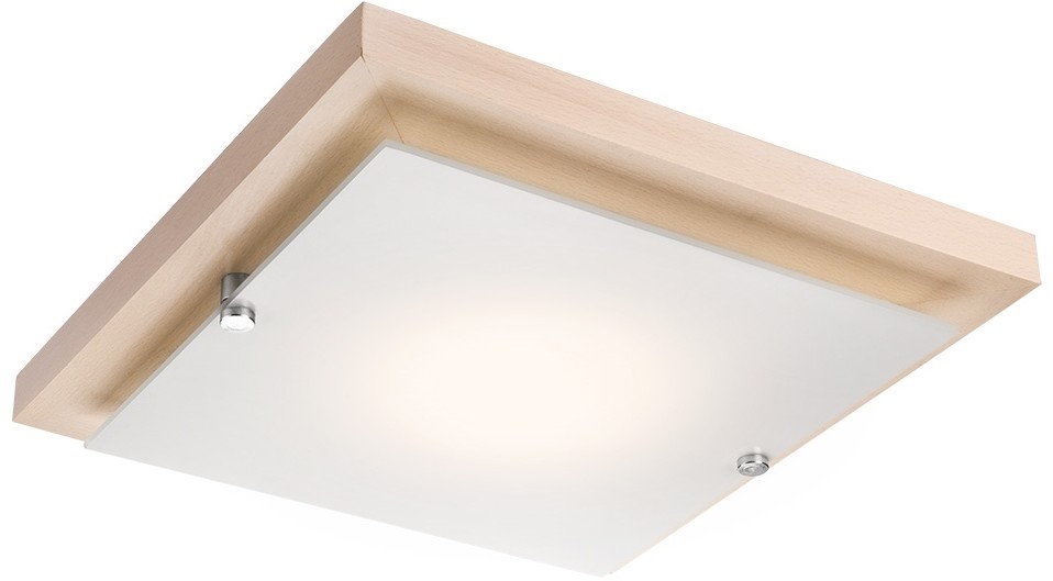 Lamkur LED Plafon 1xLED/12W/230V