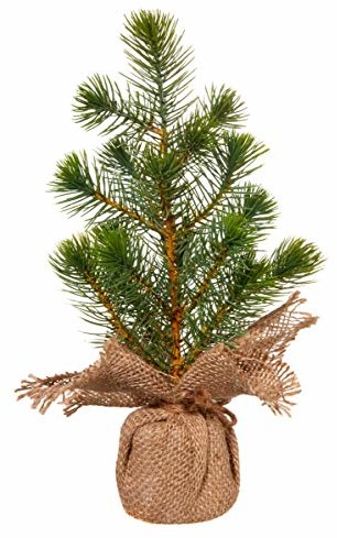 ASA Sosna  Selection dł. 33 cm
