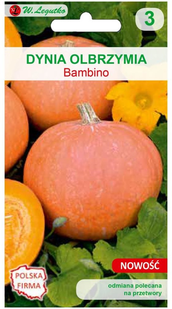 Legutko Dynia olbrzymia Bambino pomarańczowa nasiona W.Legutko