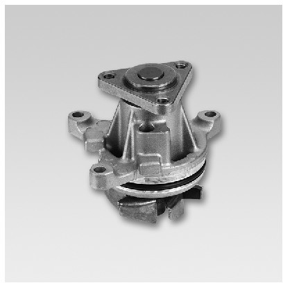 HEPU Pompa wodna P251