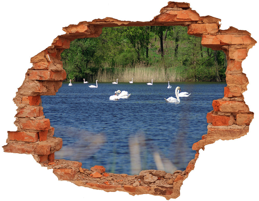 Wallmuralia.pl Dziura 3d fototapeta naklejka Białe łabędzie