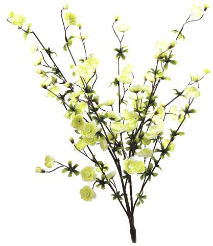 Europalms Euro Palms 82530565 gałązka wiśni 60 cm, kolor kremowy 82530565