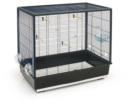 Nobby 20710 ptaka w domu, 