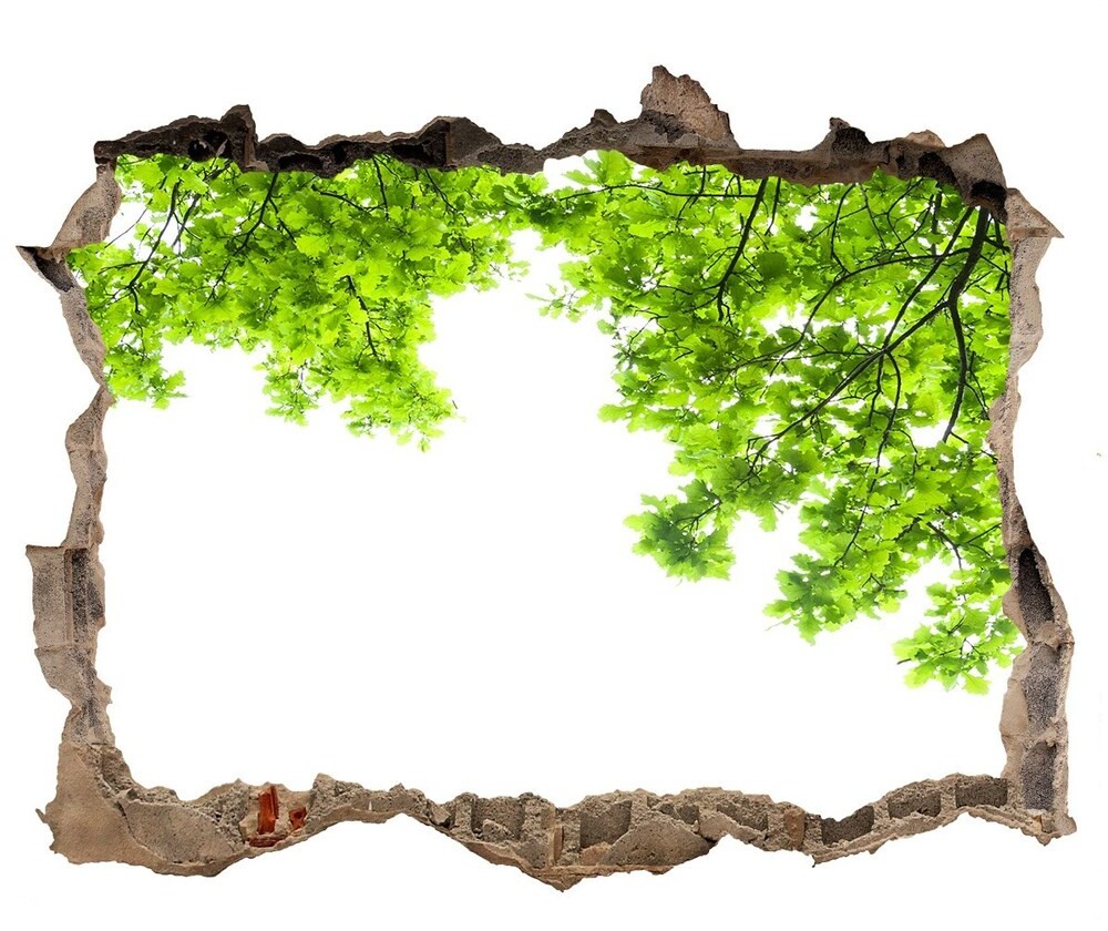 Wallmuralia.pl Samoprzylepna dziura naklejka Liście dębu