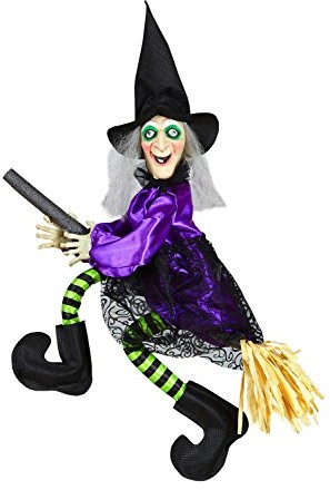 Widmann Andreas 01395  rozmawiający Wiedźma na miotła, błyszczących oczy i strampelnden nóg VD-WDM01395