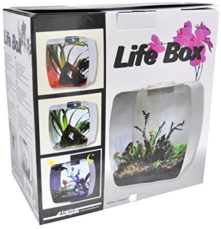 Lucky Reptile LB Life Box Nanoterrarium ze szkła akrylowego, mały, biały