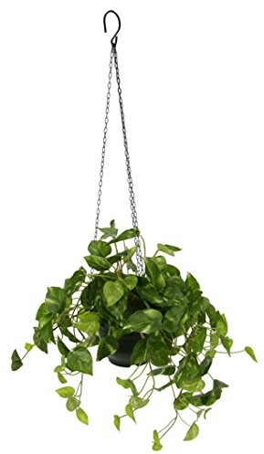 Flair Flower poth oshaenge sygnalizacja świetlna, poliester, tworzywo sztuczne, metal, zielony, 28 x 28 x 60 cm 151478GN