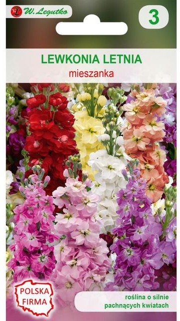 Legutko Lewkonia letnia MIESZANKA