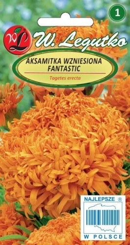 Legutko Aksamitka wzniesiona Fantastic pomarańczowe 5903837330232