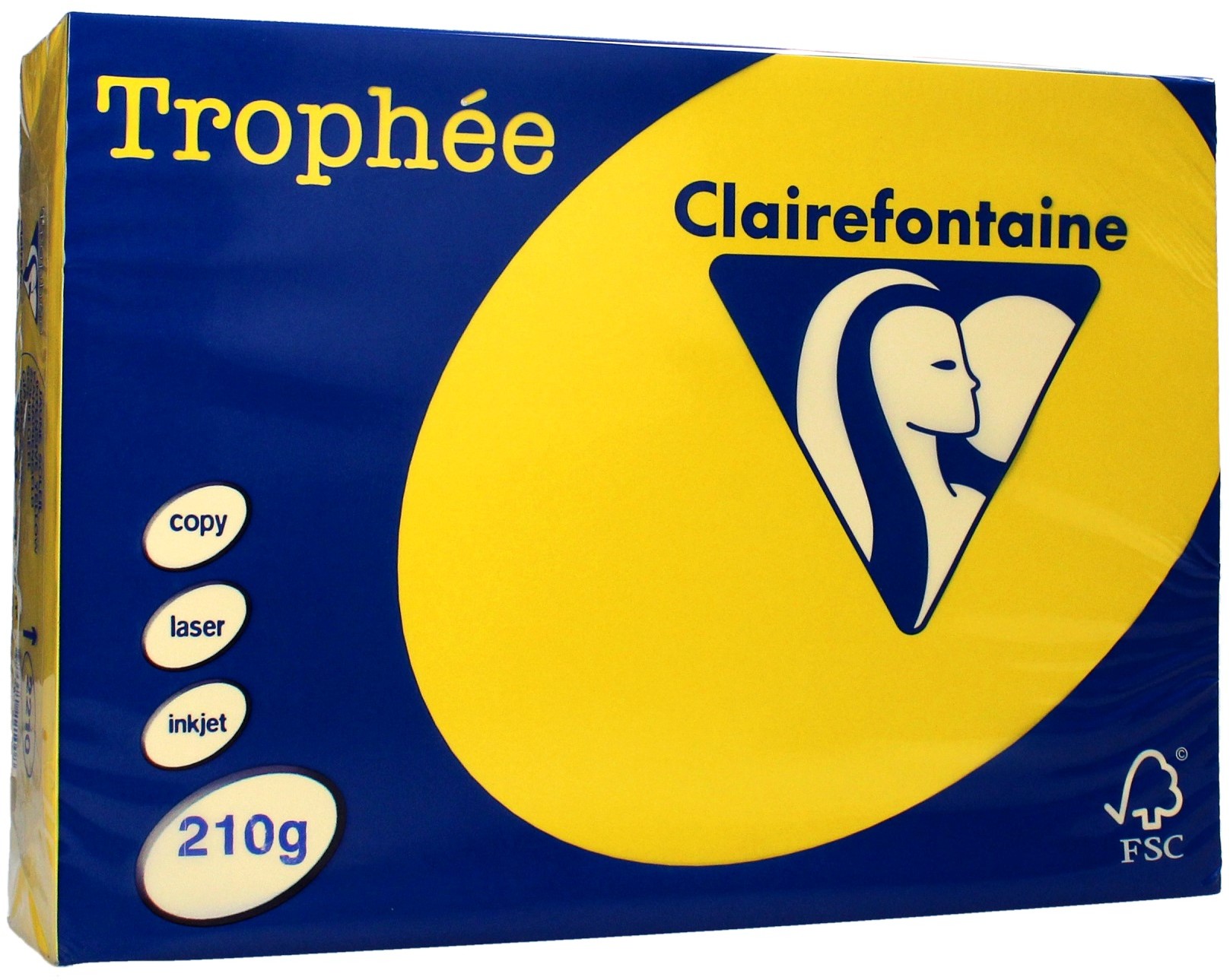 Emerson Papier ksero A4 210g słoneczny Trophee 2210