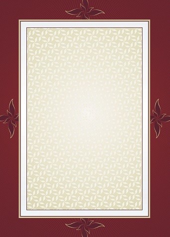 Galeria Papieru Dyplom Majestic 170g/m2
