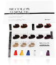 Be Hair Be Hair Be Color 12 Minute Paleta kolorów