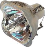 Sanyo Lampa do PLC-WR251 - oryginalna lampa bez modułu