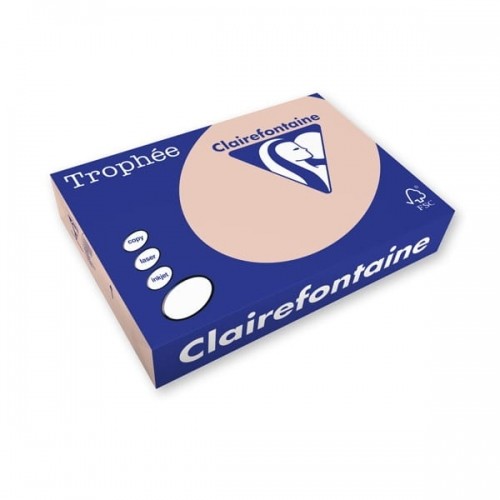 Zdjęcia - Papier Clairefontaine  TROPHEE A4/80 G ŁOSOSIOWY  ePaper24.eu (500)