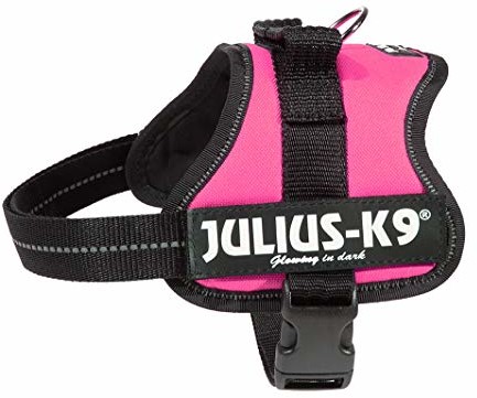 Julius-K9 162dpn, K9-power naczynia, dunkelpink, ciemnoróżowy 5999053662974