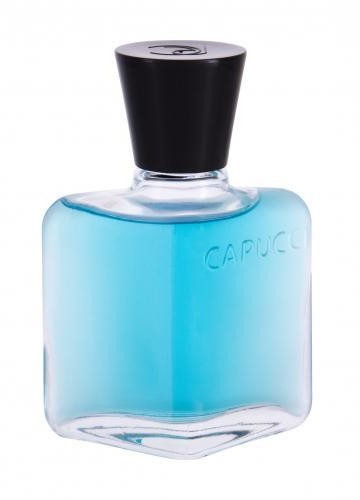 Roberto Capucci Roberto Capucci Blu Water woda po goleniu 100 ml dla mężczyzn