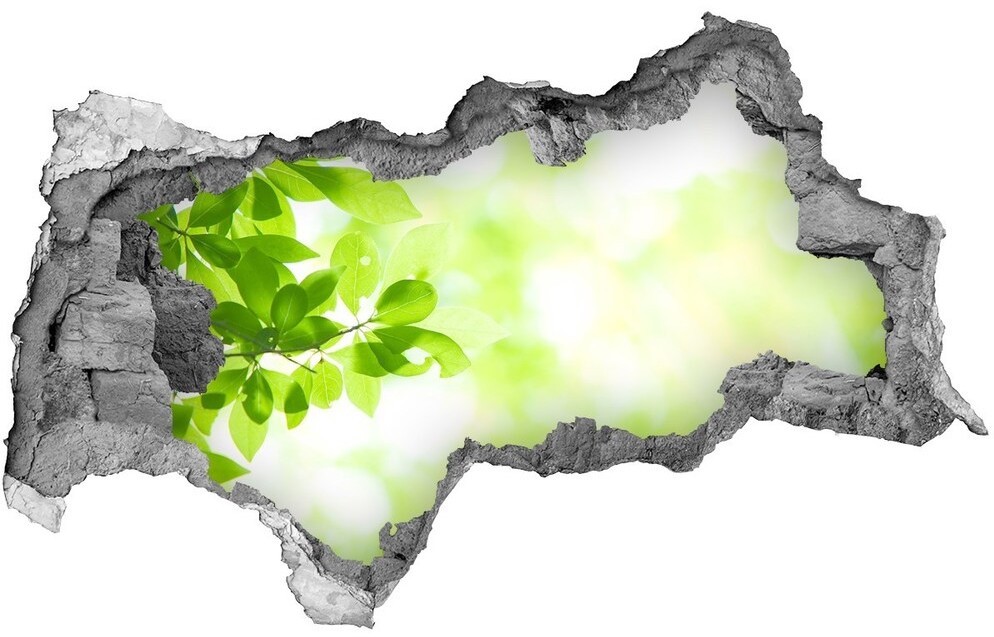 Wallmuralia.pl Samoprzylepna dziura naklejka beton Liście