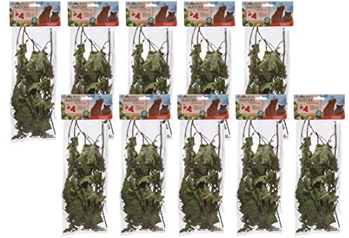 Dehner Best Nature Nagersnack, Haselnusszweige, 10 X 25 G (250 G)