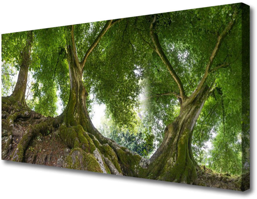 PL Tulup Obraz Canvas Drzewa Roślina Natura 100x50cm