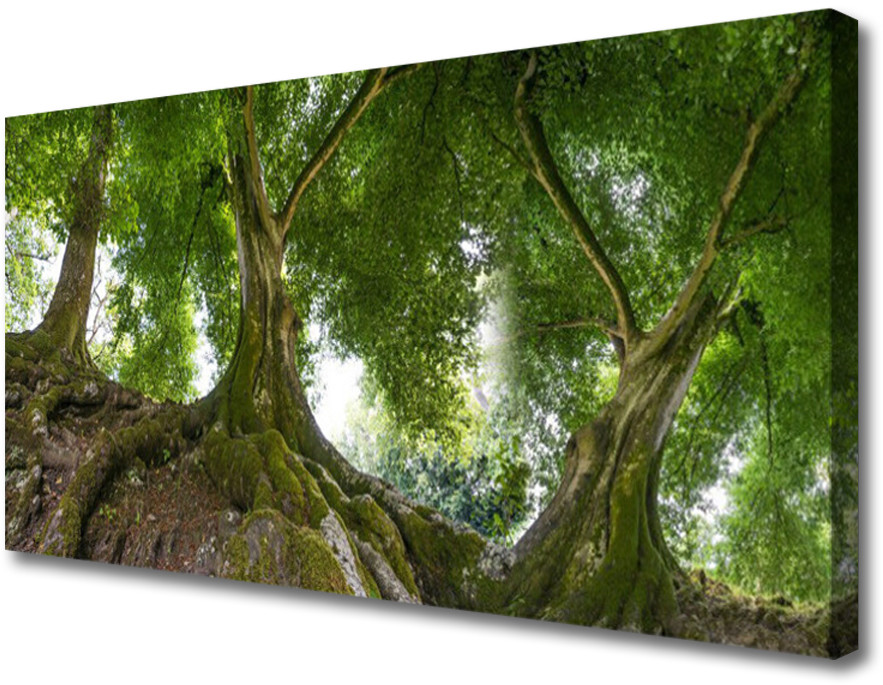 PL Tulup Obraz Canvas Drzewa Roślina Natura 125x50cm