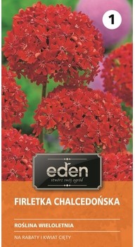Eden FIRLETKA CHALCEDOŃSKA zakupy dla domu i biura! 91556993