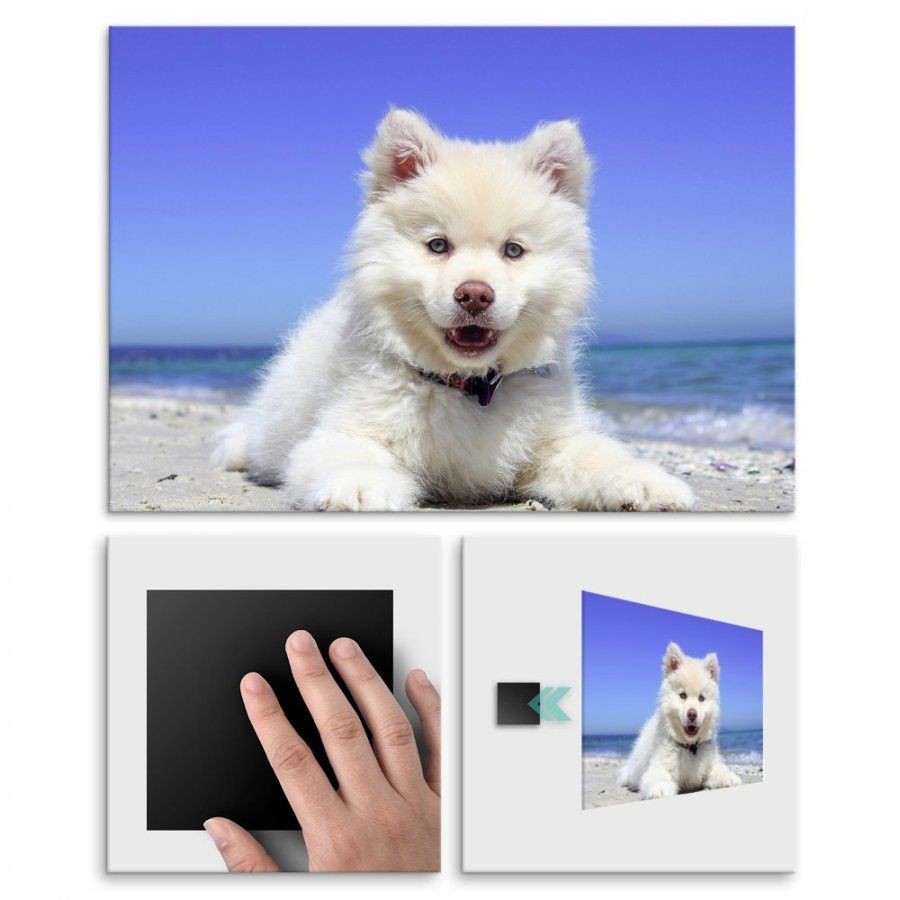 Pix4home Plakat metalowy piesek na plaży M POS-M-01731