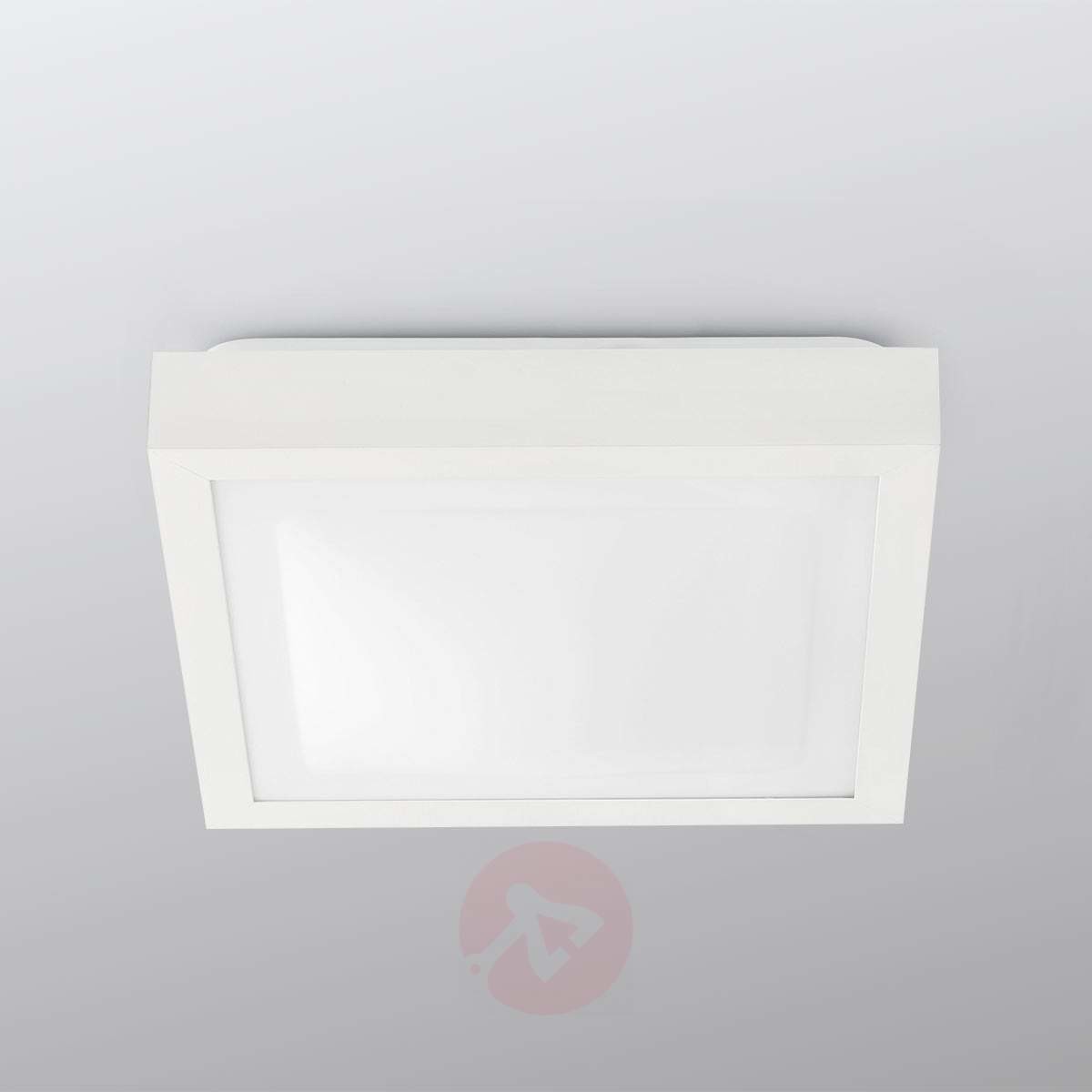 Faro Barcelona TOLA 62968 lampa sufitowa TOLA-1, 1 X E27, 20 W, 270 X 270 MM, biała 62968