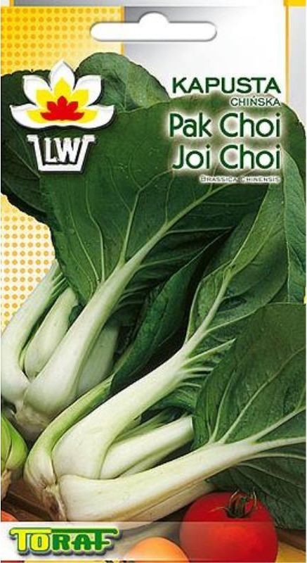 Toraf Kapusta chińska Pak-Choi nasiona warzyw 1g 00130