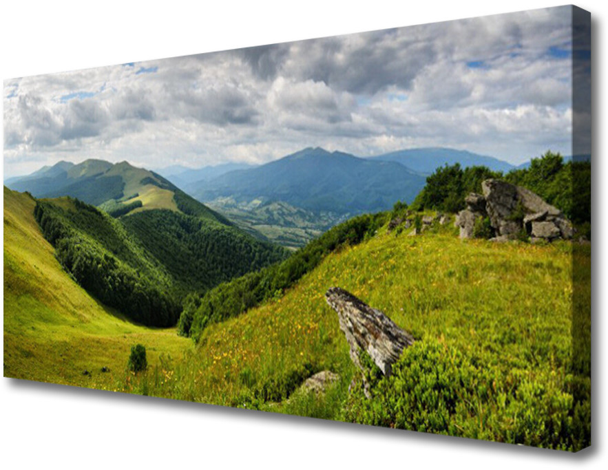 PL Tulup Obraz na Płótnie Góra Łąka Krajobraz 100x50cm