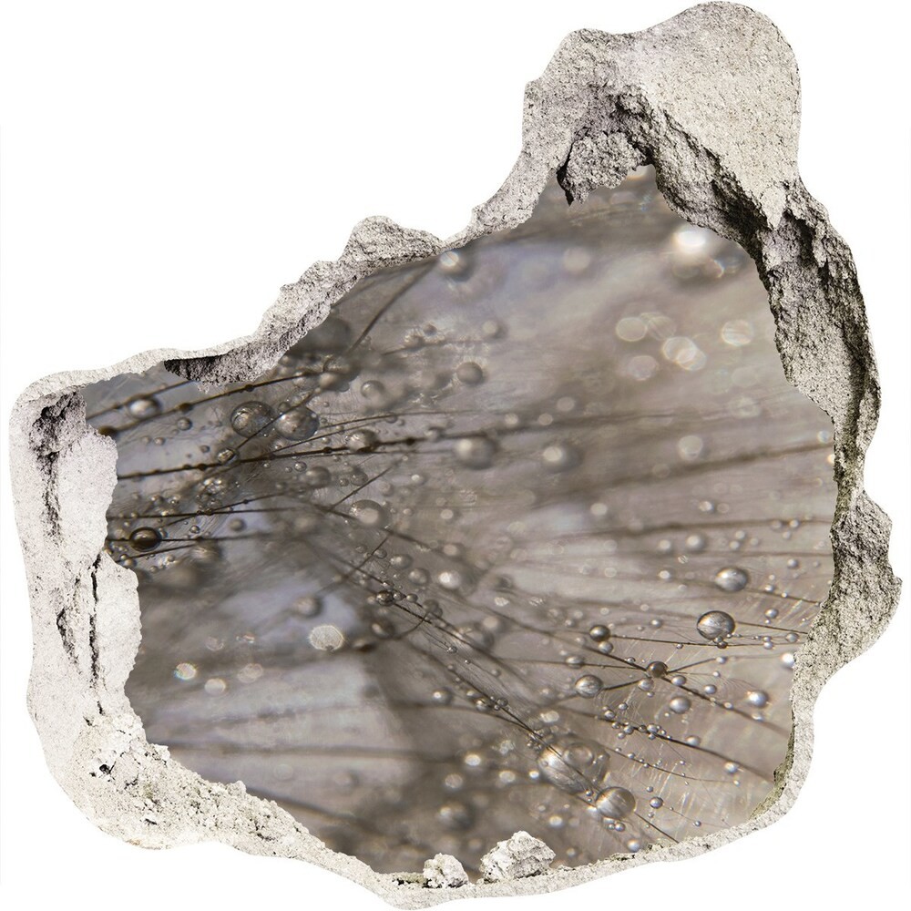 Wallmuralia.pl Samoprzylepna naklejka na ścianę Nasiona dmuchawca