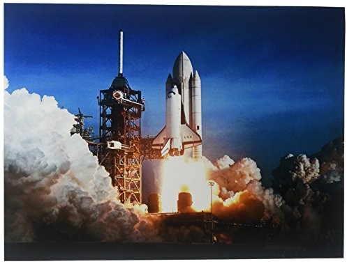 Bumblebeaver Space Shuttle Launch Number One Columbia NASA New Art Print Poster cc4252 (FBA_CC4252)
