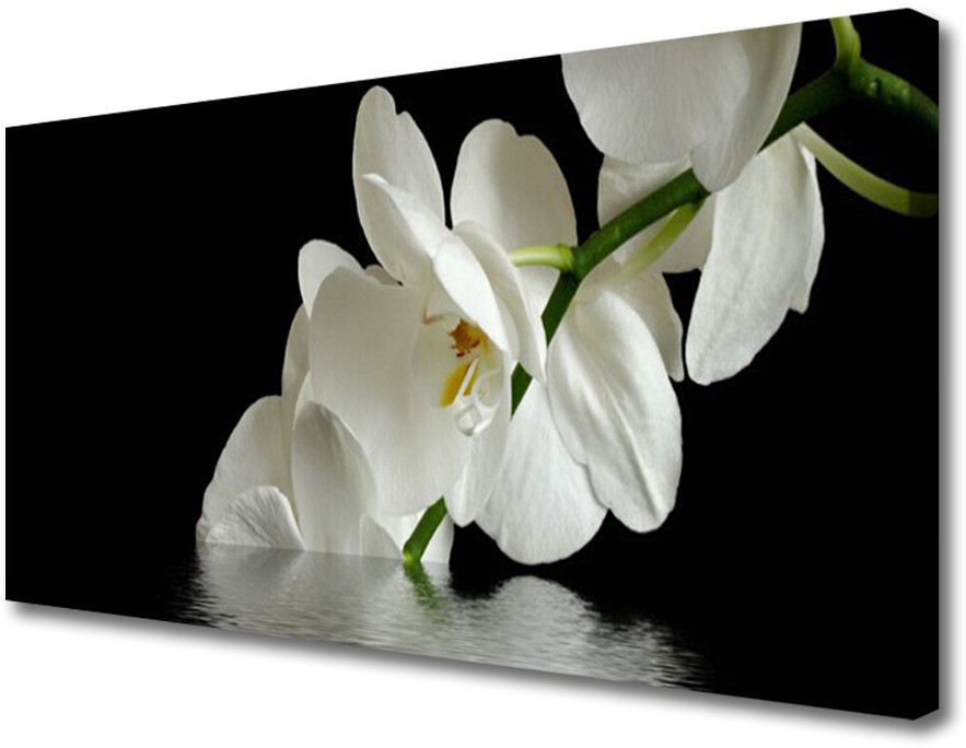 PL Tulup Obraz Canvas Orchidea w Wodzie Kwiaty 120x60cm