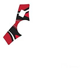 Puig 6976R Protektor na trzpień Honda CBR125R 11-13 czerwony 6976R