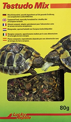 Lucky Reptile Testudo Mix TEM-80