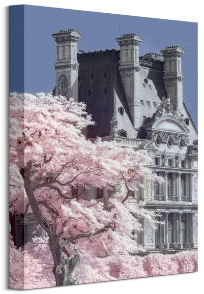 Pyramid Posters Jardin De Tuilieres Infrared, Paris - Obraz na płótnie WDC92687