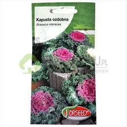 Torseed Kapusta ozdobna 0,5g